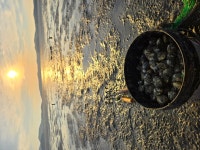 마검포레져하우스 가족 독채 수영장