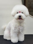 데려오개