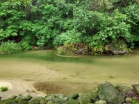 파프리카 펜션 레드