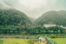 김작가사진이야기펜션