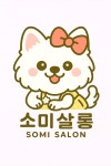 소미살롱