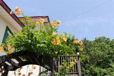 고성가고파펜션