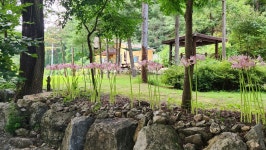 김삿갓면강건너펜션