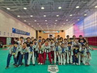 소나무향기태권도