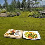 제주치유농장꽃숨