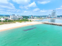 페리아 902 오션뷰 키즈 가족 펜션