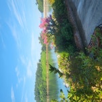 달빛바다 별빛바다