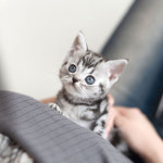 유앤미펫 인천본점