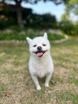 땡수네
