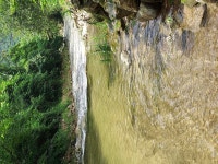 파프리카 펜션 레드