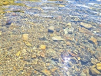 물한계곡 뜨락펜션