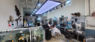 아네스의헤어스토리