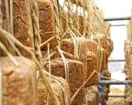 해가마을체험농장