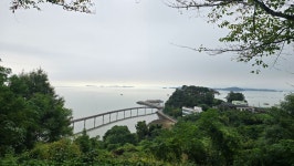 화포자유민박
