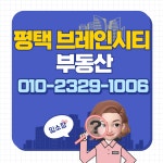 평택브레인시티부동산공인중개사사무소