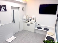 캣앤독 동물병원