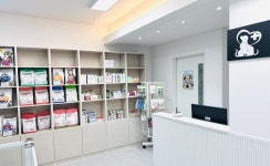 캣앤독 동물병원