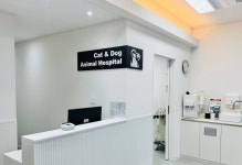 캣앤독 동물병원