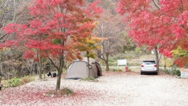 횡성초보캠핑장