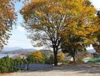 청풍호반 오토캠핑장