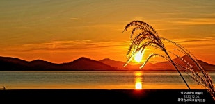 나루터숯불장어