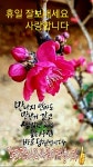 나루터숯불장어