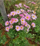 칠갑산황토펜션3