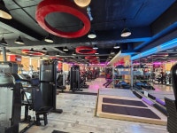 고릴라휘트니스