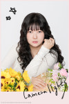 탄포포 스튜디오