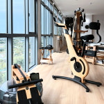 자이로토닉레이크파크