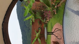 델루나 관광펜션