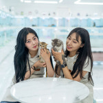 유앤미펫 고양이분양 강아지분양 인천본점