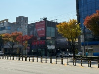 피렐리타이어 광주점