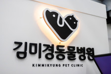 김미경동물병원