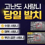 진플러스치과의원