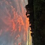 하영팜체험농장