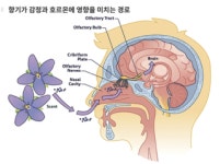 조이필라테스&요가 익산점