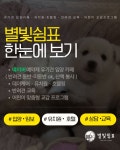 별빛쉼표 애견카페 & 애견유치원 & 애견호텔
