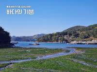 바다의기분 풀오션