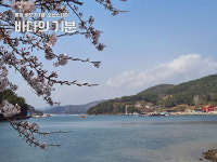 바다의기분 풀오션