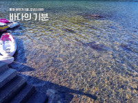 바다의기분 풀오션