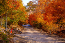 포근마루캠핑장