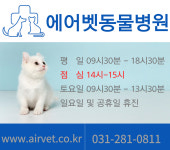에어벳동물병원