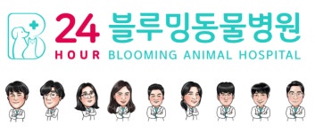 24시블루밍동물병원