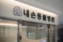 내손동물병원