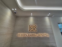 리본동물병원