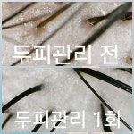올가드림뷰티 중화산에코르점