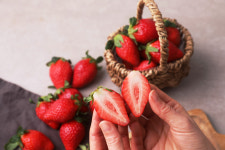 페이머스파머스