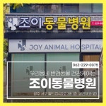 조이동물병원