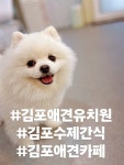 버블독스 김포공항점